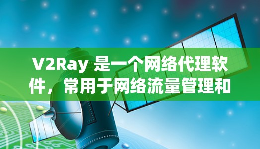 V2Ray 是一个网络代理软件，常用于网络流量管理和优化。连接 V2Ray 节点的服务通常是指通过这些节点来获取代理服务，从而实现网络加速、防火墙穿透或访问限制网站等功能