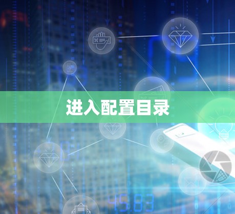 进入配置目录