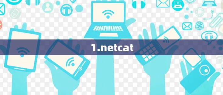 1.netcat