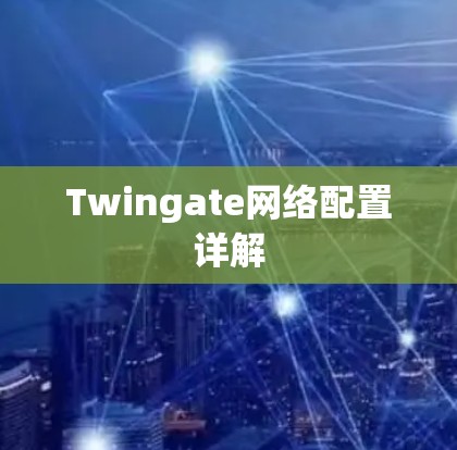 Twingate网络配置详解