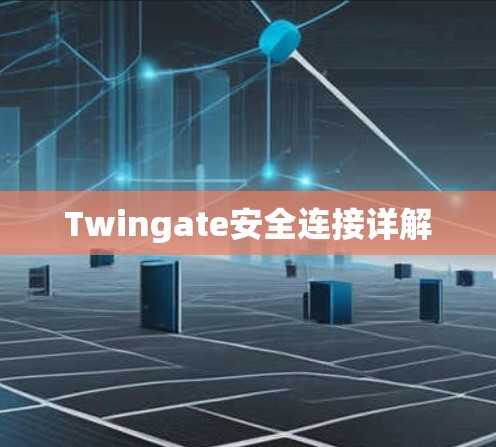 Twingate安全连接详解