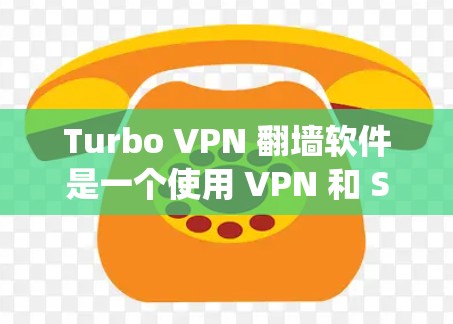 Turbo VPN 翻墙软件是一个使用 VPN 和 SSH 隧道技术的工具，旨在帮助用户绕过网络限制访问被锁定的内容。以下是对 Turbo VPN 的详细分析