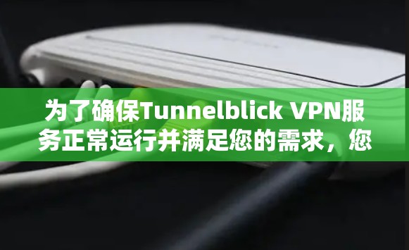 为了确保Tunnelblick VPN服务正常运行并满足您的需求，您可以按照以下步骤进行测试