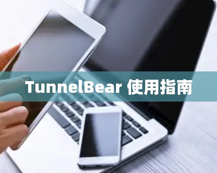 TunnelBear 使用指南