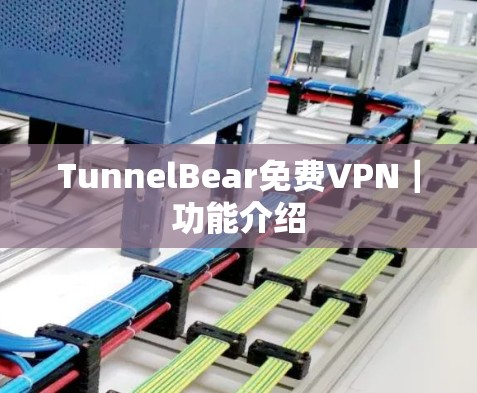 TunnelBear免费VPN｜功能介绍