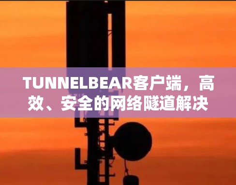 TUNNELBEAR客户端，高效、安全的网络隧道解决方案