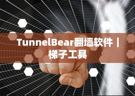 TunnelBear翻墙软件｜梯子工具
