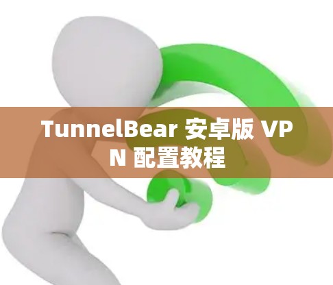 TunnelBear 安卓版 VPN 配置教程