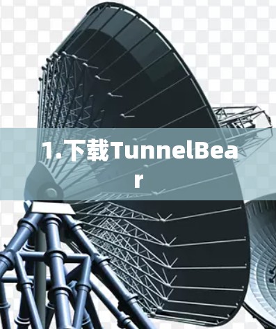 1.下载TunnelBear