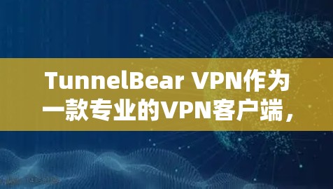 TunnelBear VPN作为一款专业的VPN客户端，具备以下主要优点
