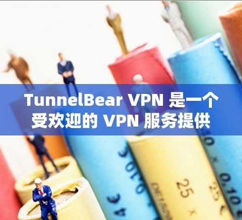 TunnelBear VPN 是一个受欢迎的 VPN 服务提供商，提供了多种版本，满足不同用户的需求。以下是对 TunnelBear VPN 的详细测评，帮助你做出明智的选择