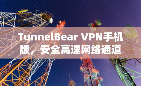 TunnelBear VPN手机版，安全高速网络通道