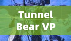 TunnelBear VPN是一款用户友好的VPN服务，支持多平台安装，包括Windows、macOS、iOS和Android。以下是使用TunnelBear VPN客户端的基本设置步骤