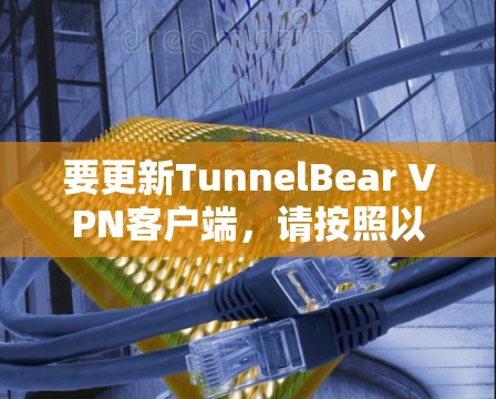 要更新TunnelBear VPN客户端，请按照以下步骤操作