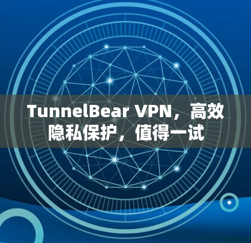 TunnelBear VPN，高效隐私保护，值得一试