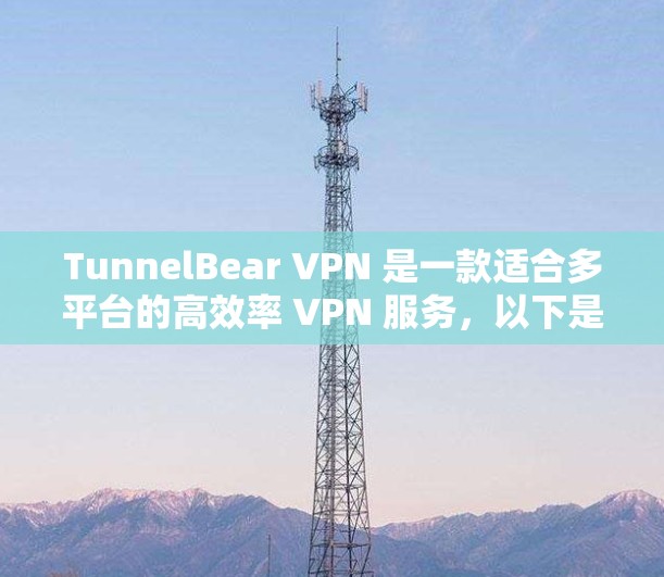 TunnelBear VPN 是一款适合多平台的高效率 VPN 服务，以下是其主要优势