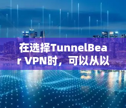 在选择TunnelBear VPN时，可以从以下几个方面进行评估和决策