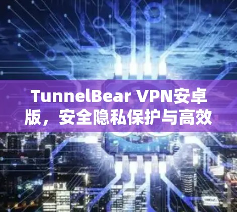 TunnelBear VPN安卓版，安全隐私保护与高效稳定的完美结合