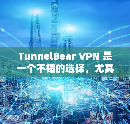 TunnelBear VPN 是一个不错的选择，尤其适合需要匿名上网和保护隐私的用户。以下是对其的详细分析和推荐