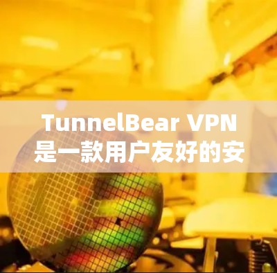 TunnelBear VPN是一款用户友好的安全VPN工具，适合希望保护隐私和安全的用户。以下是对其功能和使用体验的总结