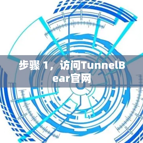 步骤 1，访问TunnelBear官网