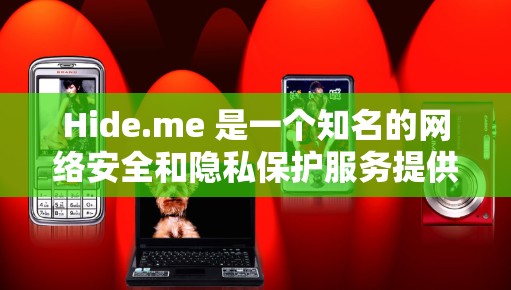 Hide.me 是一个知名的网络安全和隐私保护服务提供商，他们提供多种安全工具，包括 VPN（虚拟专用网络）匿名代理、防火墙等。Hide.me 的客户端通常用于通过互联网连接时保护用户的隐私和安全