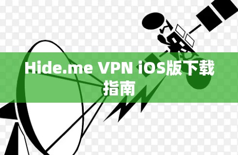 Hide.me VPN iOS版下载指南