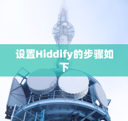设置Hiddify的步骤如下