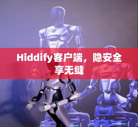 Hiddify客户端,隐安全享无缝 Hiddify客户端,隐安全享无缝