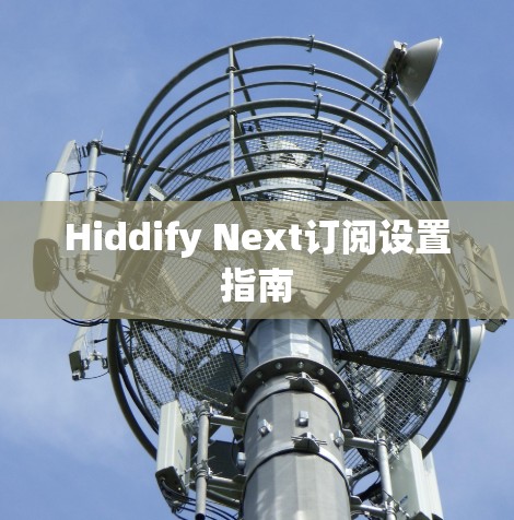 Hiddify Next订阅设置指南