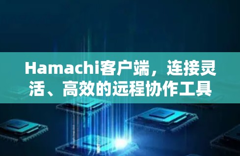 Hamachi客户端,连接灵活、高效的远程协作工具 Hamachi客户端,连接灵活、高效的远程协作工具