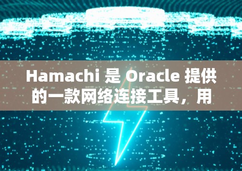 Hamachi 是 Oracle 提供的一款网络连接工具，用于在企业环境中实现远程访问和文件共享。以下是 Hamachi 安装教程