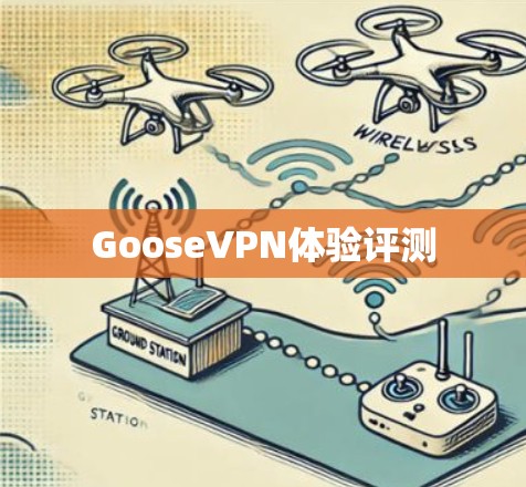 GooseVPN体验评测