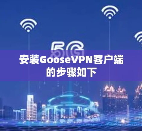 安装GooseVPN客户端的步骤如下