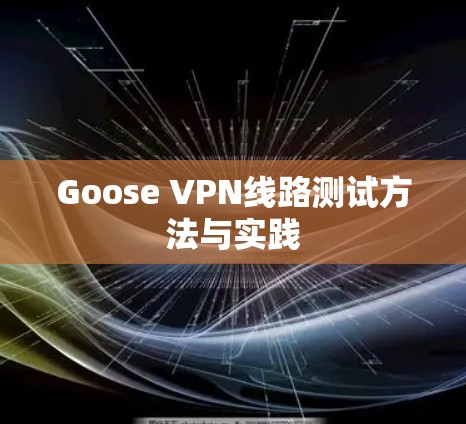 Goose VPN线路测试方法与实践