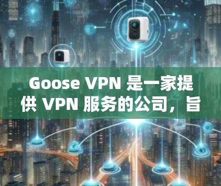 Goose VPN 是一家提供 VPN 服务的公司，旨在为用户提供匿名网络访问和隐私保护。以下是对 Goose VPN 的一些体验分享和分析