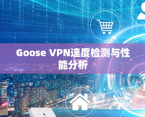 Goose VPN速度检测与性能分析