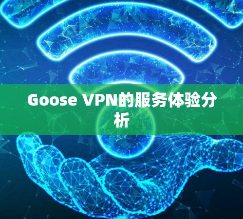 Goose VPN的服务体验分析