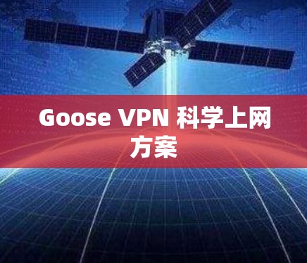 Goose VPN 科学上网方案