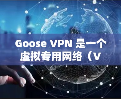 Goose VPN 是一个虚拟专用网络（VPN）服务提供商，用户可以通过 Goose VPN 管理多个 VPN 节点。以下是关于 Goose VPN 节点管理的基本步骤和建议