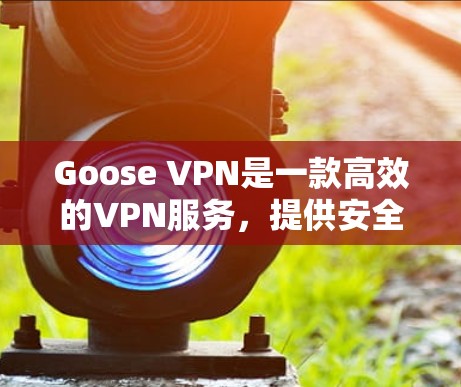 Goose VPN是一款高效的VPN服务,提供安全和隐私保护。以下是关于其官网和下载信息的详细指南 Goose VPN是一款高效的VPN服务,提供安全和隐私保护。以下是关于其官网和下载信息的详细指南
