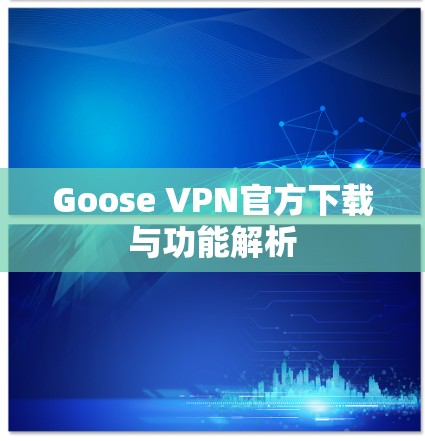 Goose VPN官方下载与功能解析