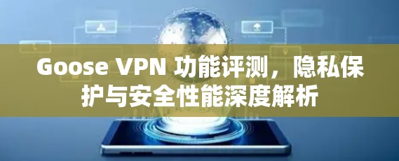 Goose VPN 功能评测，隐私保护与安全性能深度解析