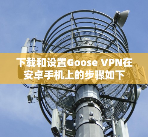 下载和设置Goose VPN在安卓手机上的步骤如下