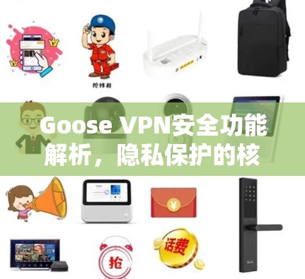 Goose VPN安全功能解析，隐私保护的核心技术