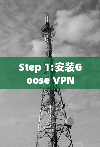 Step 1:安装Goose VPN Step 1:安装Goose VPN