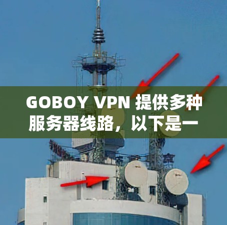 GOBOY VPN 提供多种服务器线路，以下是一些推荐的稳定线路