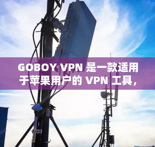 GOBOY VPN 是一款适用于苹果用户的 VPN 工具，具有多项优势，包括高效稳定、多平台支持、多服务器网络、隐私保护、低成本和24小时客服服务。以下是对其优势的详细分析和潜在问题的探讨