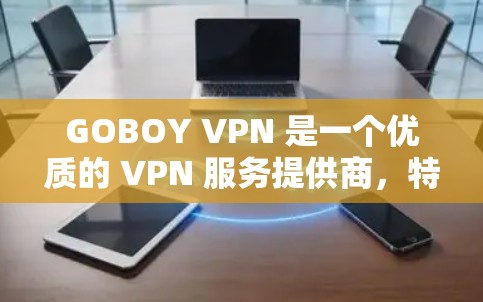GOBOY VPN 是一个优质的 VPN 服务提供商，特别适合需要频繁访问机场节点或寻求高速服务器的用户。以下是它的详细介绍