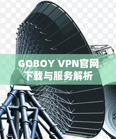 GOBOY VPN官网下载与服务解析